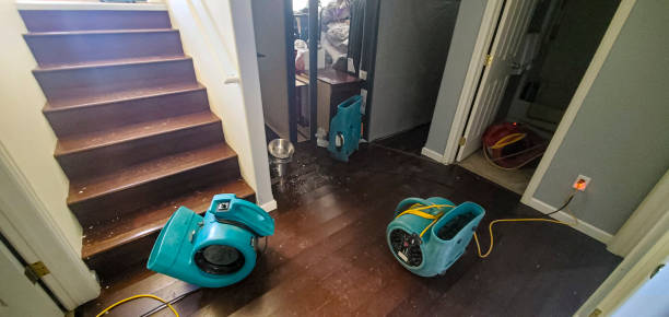 Trusted Silver Creek, NY Water damage restoration Experts