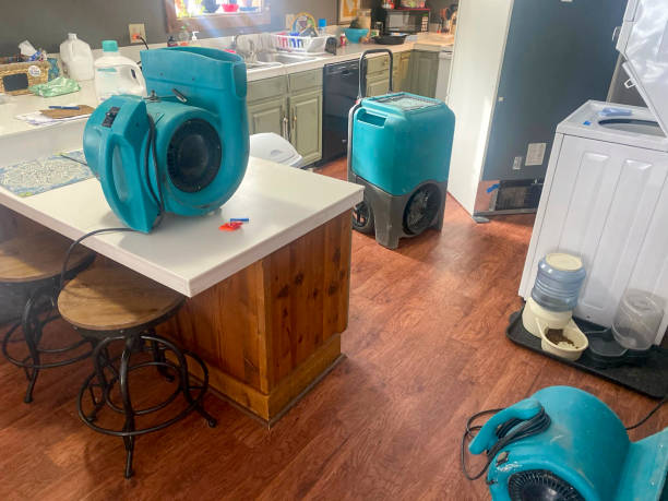 Best Commercial water damage restoration  in Silver Creek, NY