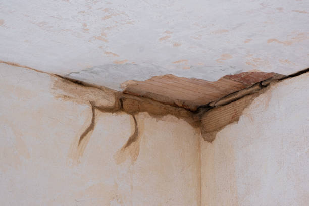 Best Flood restoration services  in Silver Creek, NY