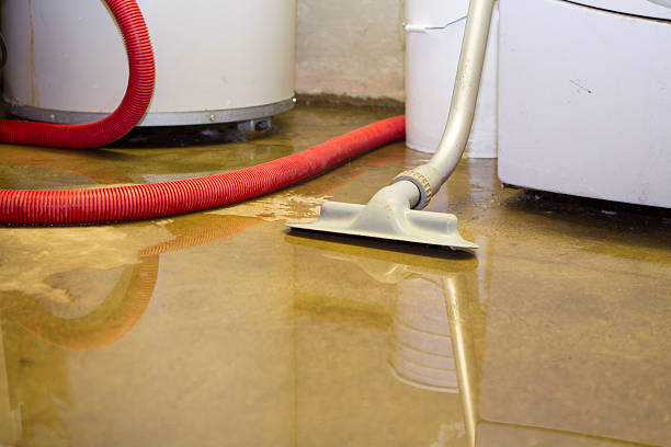 Best Water damage restoration insurance claims  in Silver Creek, NY