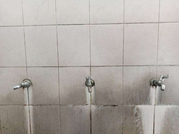 Best 24-hour water damage restoration  in Silver Creek, NY