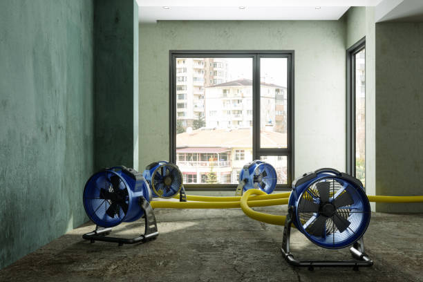 Best Flood restoration services  in Silver Creek, NY