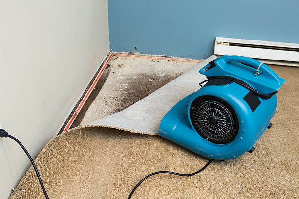 Best 24-hour water damage restoration  in Silver Creek, NY
